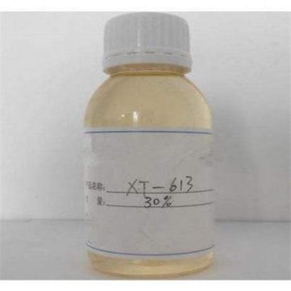 Copolymères acrylique-acrylate-sulfosel de haute pureté XT-613 pour les usines de dessalement #1 image